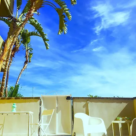 Alba 아찌트라자