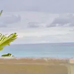 Alba *