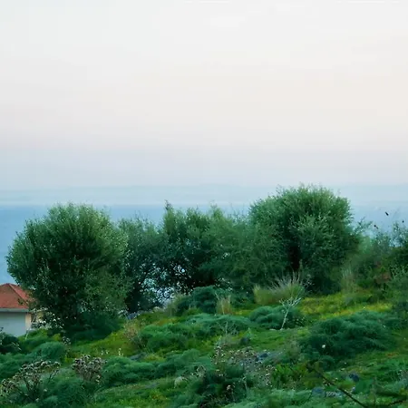 Apartment Alba