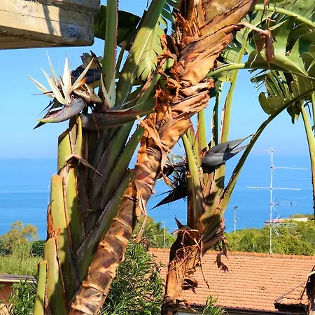 Apartman Alba